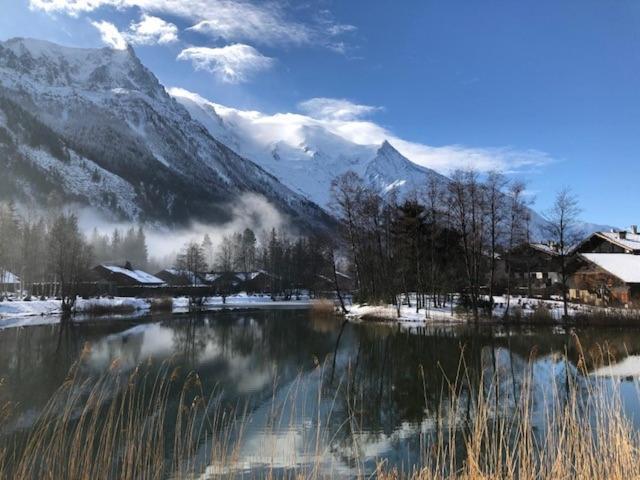 Studio Au Calme Avec Jardin Et Vue Mont-Blanc Chamonix Esterno foto
